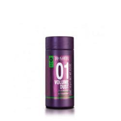 Salerm Cosmetics Volume Dust Pro·Line Hair powder 10 g