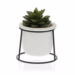 Versa 22290011 flowerpot 1 pc(s)