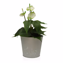 Versa 22350011 planter