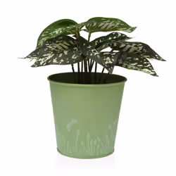 Versa 22350013 planter