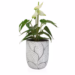 Versa 21790024 flowerpot 2 pc(s)