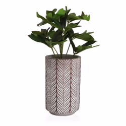 Versa 21790028 flowerpot 2 pc(s)