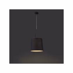 Faro 29864 suspension lighting E27