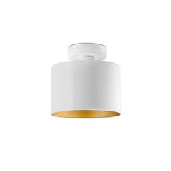 Faro 65137 ceiling lighting E27