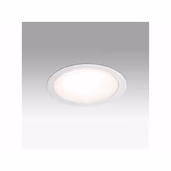 Faro 42927, 1 bulb(s), 2400 lm, IP44, White