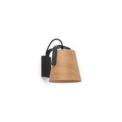 Faro 29844 wall lighting E27