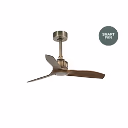 Faro 33428WP, Household blade fan, Gold, Wood, Ceiling, 81 cm, IP20, I