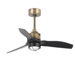 Faro 33429-10 household fan Black, Gold