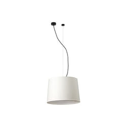 Faro 64314-55 suspension lighting E27