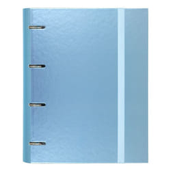 CARCHIVO 12257409 ring binder Blue