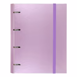 CARCHIVO 12257418, D-ring, Storage, Cardboard, Metal, Paper, Purple, Glossy, 100 sheets