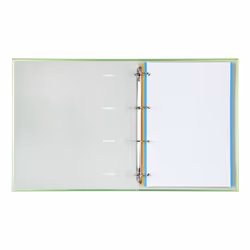 CARCHIVO 12257421 ring binder Green