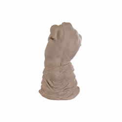 Fijalo Meti_FD212849 decorative statue/figurine Brown Resin
