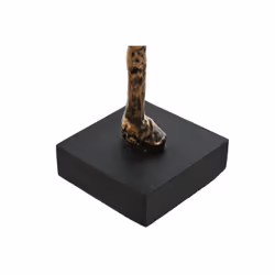 Fijalo Meti_FD214610 decorative statue/figurine