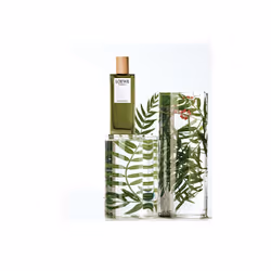 LOEWE Perfumes Esencia Eau De Parfum 100 ml - Additional view 4