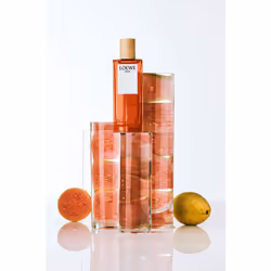 LOEWE Perfumes Solo Eau De Toilette 100 ml - Additional view 4