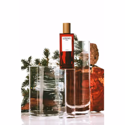 LOEWE Perfumes Solo Cedro Eau De Toilette 100 ml - Additional view 4