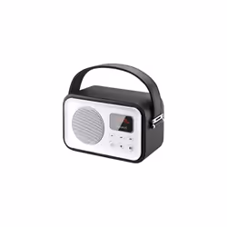 Sunstech RPBT450, Portable, Digital, FM, 2.5 W, 5.7 cm, LED