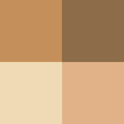AV Game Color Set - Tanned Skin Colors (x4)