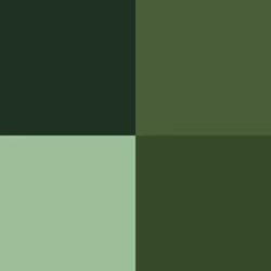 AV Game Color Set - Green Colors (x4)