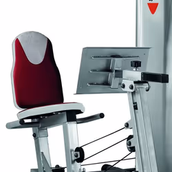 BH Fitness Global Gym Plus Biceps, Calves, Chest, Shoulders, Triceps