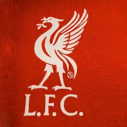 Liverpool FC Mens Hoody Fleece LFC Graphic OFFICIAL Football Gift - 2XL