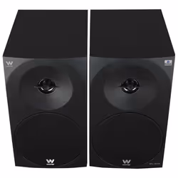 Woxter DL-410 BT 1-way Black Wired 150 W