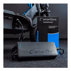 smartGyro PP27-069 electric scooter accessory