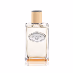 Prada Infusion Fleur D Orange 200ml EDP Spray