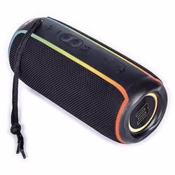 ELBE ALT-N12-TWS portable/party speaker Black 20 W