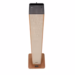Aiwa TSBT-270WD loudspeaker Wood Wired & Wireless 50 W
