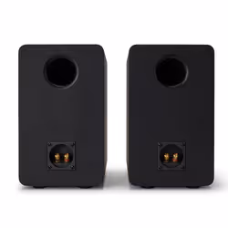 Reflexion SP-A100 loudspeaker Black Wired 140 W