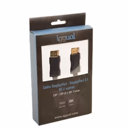 iggual IGG318362 DisplayPort cable 2 m Black