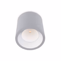 Leds-C4 Cosmos - LED 1 Light Outdoor Surface Mounted Ceiling Light Grey IP65