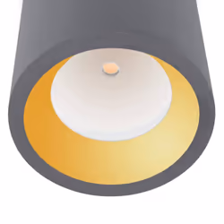 Leds-C4 Cosmos - LED 1 Light Outdoor Surface Mounted Ceiling Light Grey IP65