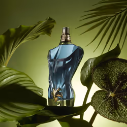 Jean Paul Gaultier Le Beau Eau De Toilette 75ml - Additional view 4