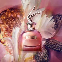 Jean Paul Gaultier Scandal by Night Eau De Parfum 80ml