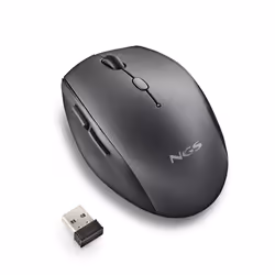 NGS BEE BLACK