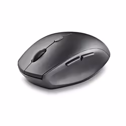 NGS BEE BLACK
