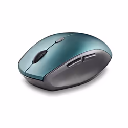 NGS BEE BLUE