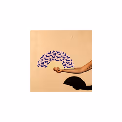 - Original Handheld Folding Fan with print. Colourful wooden fan. Original holding Hand Fans. Birthday Gifts Wedding Party Decoration. (Dogs, pink)
