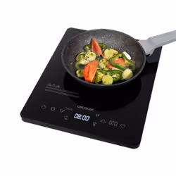 Cecotec 03069 hob Black Countertop Zone induction hob 1 zone(s)