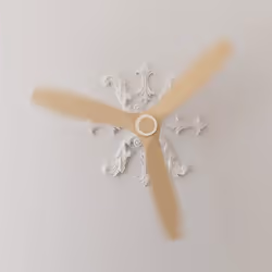 Cecotec 05950 household fan Beech - Additional view 5
