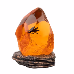 Grupo Erik LAMP010 night-light Ambiance lighting