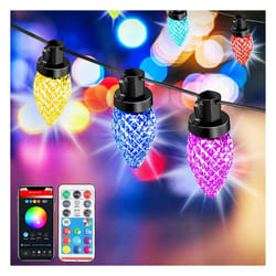 6M LED String Festoon Lights with 15 Bulbs RGB Remote /APP Control