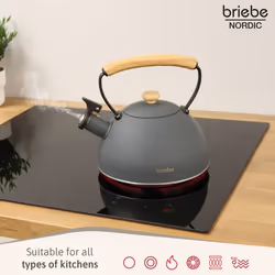 Briebe 00416 kettle 2.3 L Grey - Additional view 3