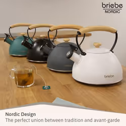 Briebe 00416 kettle 2.3 L Grey - Additional view 8