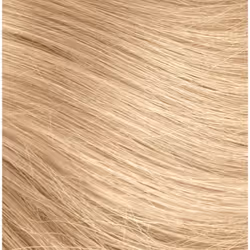Naturtint Permanent 10N Light Dawn Blonde