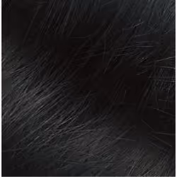 Naturtint Permanent 2.1 Blue Black