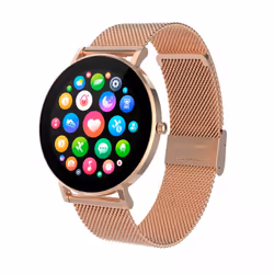 DCU Advance Tecnologic Boulevard 3.3 cm (1.3") AMOLED Digital 360 x 360 pixels Touchscreen Silver